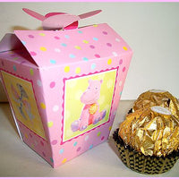 Baby Girl Mini Box