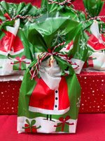 Santa's Treat Lolly Bag