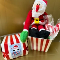 Christmas Plush Character in a Box